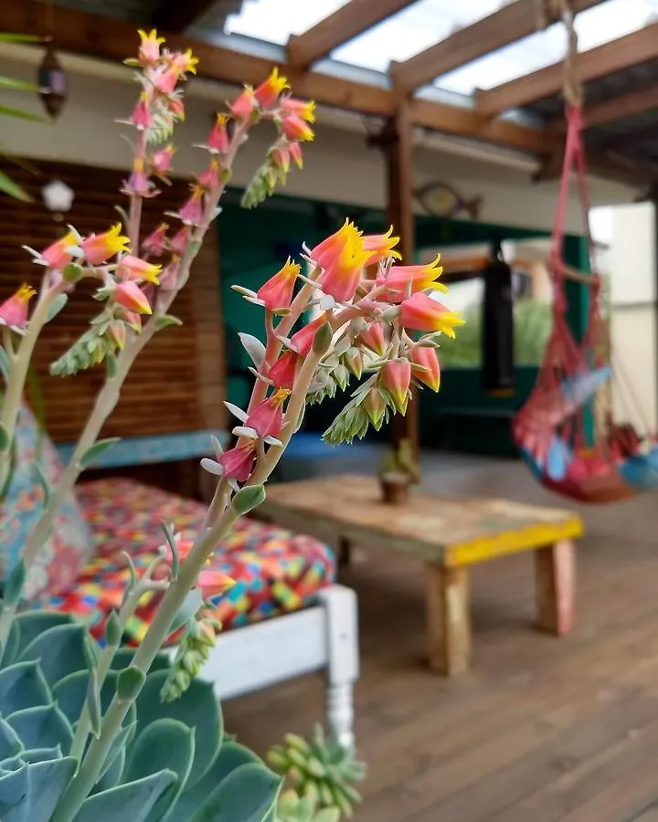 Katsbarnea Hostel Florianopolis