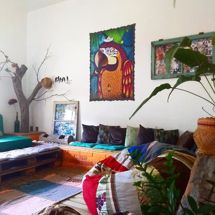 Katsbarnea Hostel Florianópolis