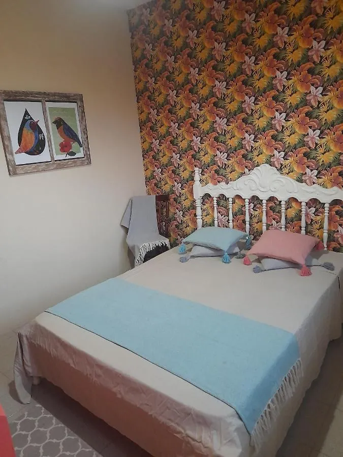 Katsbarnea Hostel Florianopolis 0*,  Brazil